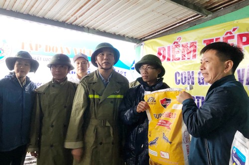 越南农业与农村发展部工作代表团视察广平省暴雨洪涝后果克服工作 - ảnh 1