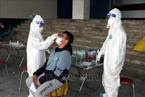 越南新增7例新冠肺炎确诊病例 - ảnh 1