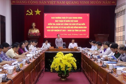 越南祖国阵线中央委员会检查莱州省国会选举组织工作 - ảnh 1