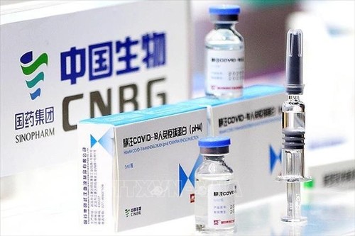世卫组织将对中国研制的两种新冠肺炎疫苗进行评估 - ảnh 1