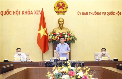 越南国会主席王庭惠：加快落实疫苗战略，重视保障宏观经济 - ảnh 1