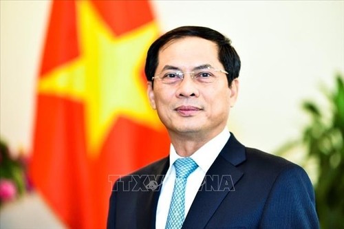 越南外长裴青山就越南国家主席一行外访接受记者的采访 - ảnh 1