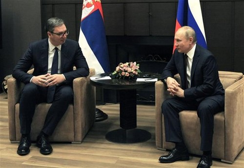 俄罗斯总统宣布与塞尔维亚提前签署天然气供应协议 - ảnh 1