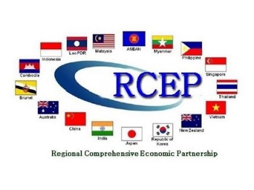  《区域全面经济伙伴关系协定》（RCEP）正式生效 - ảnh 1