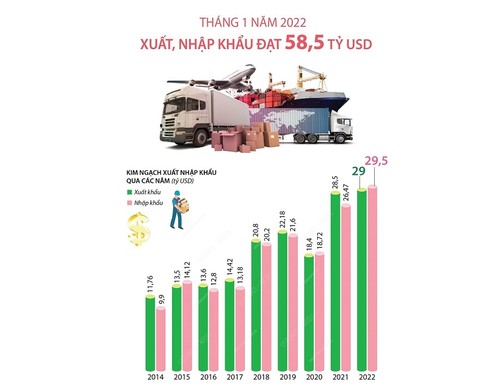 2022年1月越南出口创汇290亿美元   同比增长1.6% - ảnh 1