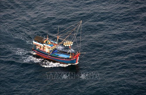 越南渔业协会反对中国单方面实施2022年东海禁渔令 - ảnh 1