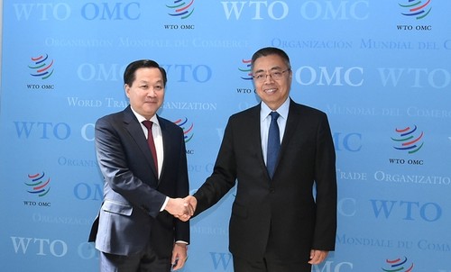 越南高度重视世贸组织在促进多边贸易体制中的作用 - ảnh 1