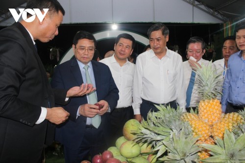 越南政府总理范明政就OCOP水果产品可持续发展问题提出六项建议 - ảnh 1