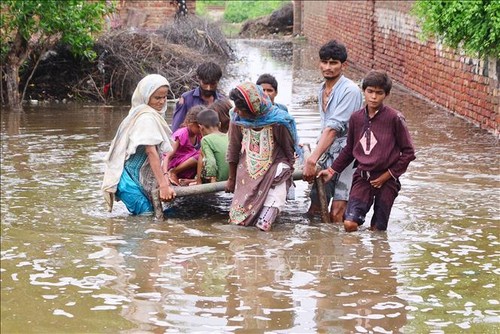巴基斯坦呼吁国际社会援助洪水灾民 - ảnh 1