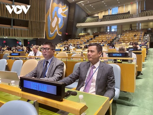  联合国大会通过由越南共同主持起草的关于预防和应对疫情的决议 - ảnh 1