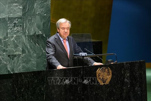 联合国呼吁全世界努力帮助恐怖主义受害者 - ảnh 1