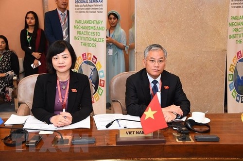 越南国会代表团出席关于可持续发展目标的会议 - ảnh 1