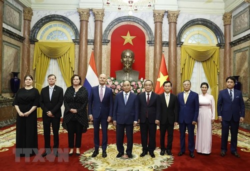 ​ 越南支持大使履职尽责，为促进与其他国家的双边关系作出贡献 - ảnh 1
