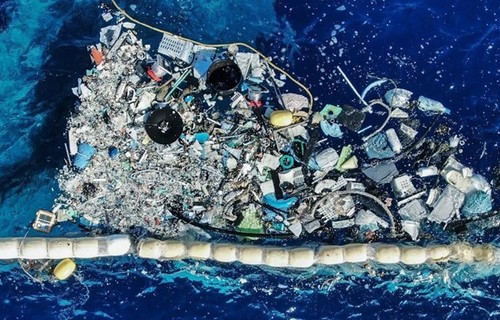 加强国际合作，减排海洋垃圾 - ảnh 1