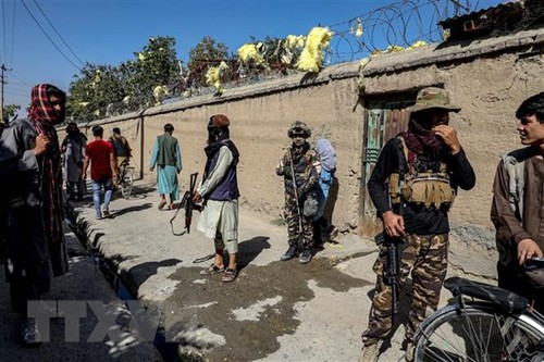美国将巴基斯坦塔利班和基地组织列入全球恐怖组织名单 - ảnh 1