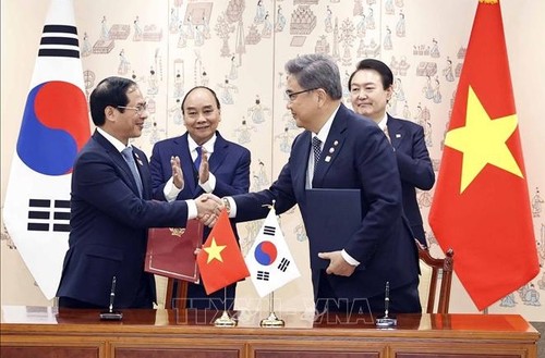 越南与韩国发表关于全面战略伙伴关系的联合声明 - ảnh 1