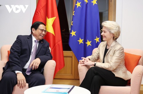 越南政府总理范明政会见欧洲各国及伙伴方领导人 - ảnh 1