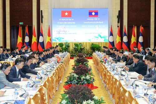 范明政和老挝总理宋赛·西潘敦共同主持越老政府间联合委员会第45次会议 - ảnh 1