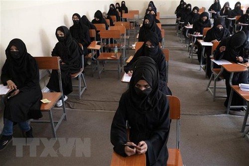 2023年国际教育日 ：为阿富汗女童的上学权 - ảnh 1