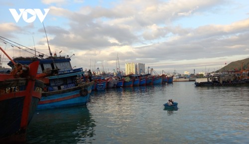 渔民年初挺进长沙、开启新年捕捞季 - ảnh 1