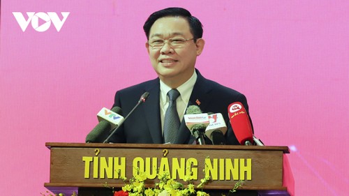 越南国会主席王庭惠：人民议会必须在地方治理改革中发挥重要作用 - ảnh 1