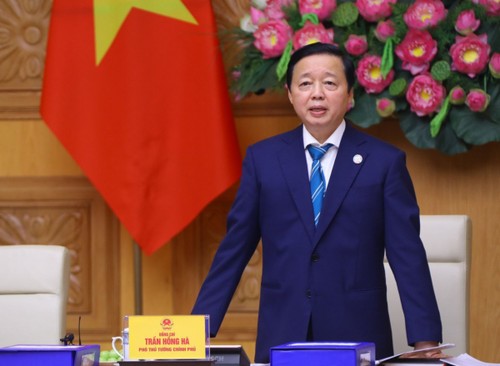 越南政府副总理陈红河：矿产资源规划要考虑环境景观的维护 - ảnh 1