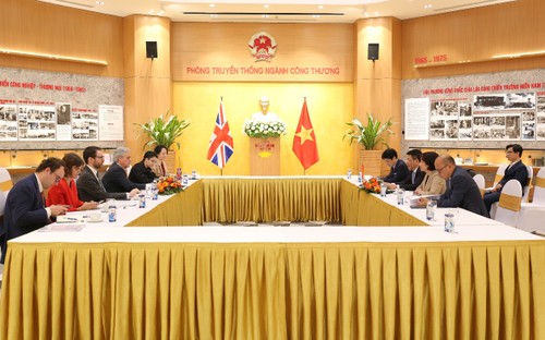 ​越南大力支持英国加入《全面与进步跨太平洋伙伴关系协定》 - ảnh 1