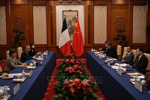 中国和法国加强各领域合作 - ảnh 1