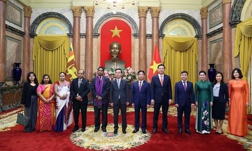  越南国家主席武文赏会见前来递交国书的智利、阿联酋和斯里兰卡新任驻越大使 - ảnh 1