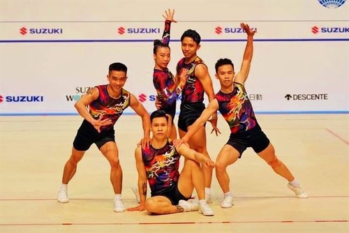 越南在世界健美操比赛上荣获一枚金牌 - ảnh 1