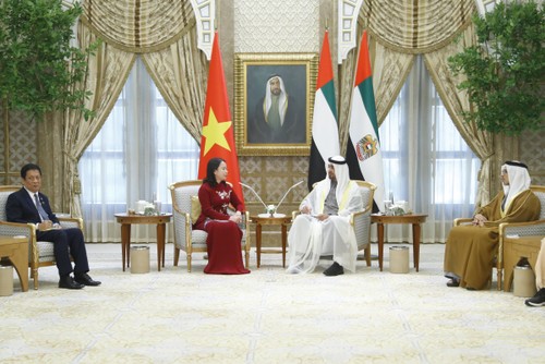 越南国家副主席武氏映春会见阿联酋总统穆罕默德·本·扎耶德·阿勒纳哈扬 - ảnh 1