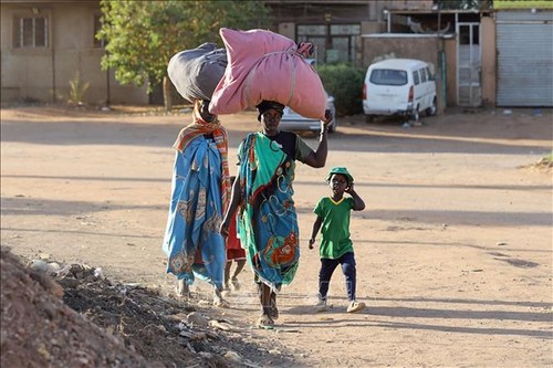 苏丹冲突导致 1900 万人面临饥饿和营养不良 - ảnh 1