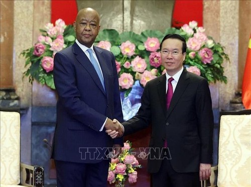 越南和坦桑尼亚扩大和提升双边合作关系 - ảnh 1