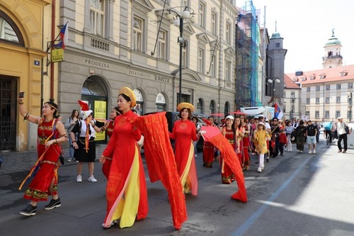 越南特色在捷克少数民族文化节上大放光彩 - ảnh 1