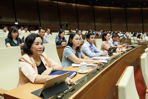 越南15届国会5次会议通过《合作社法（修正案）》 - ảnh 1