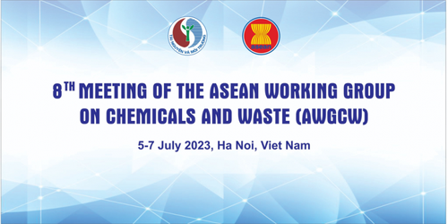 越南承办东盟化学品与废弃物工作组第8次会议 - ảnh 1