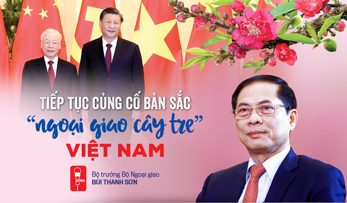 “越南竹子外交”的独特价值 - ảnh 1