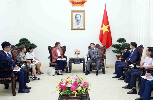 政府副总理陈红河会见世界卫生组织驻越南代表 - ảnh 1