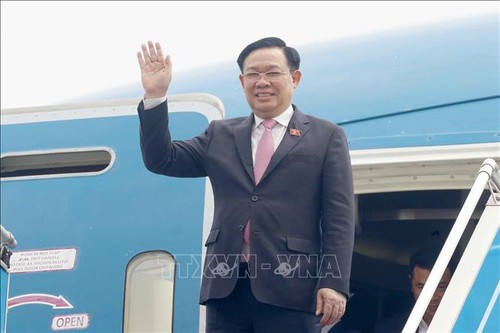 越南国会主席王庭惠圆满结束对印度尼西亚和伊朗的正式访问 - ảnh 1