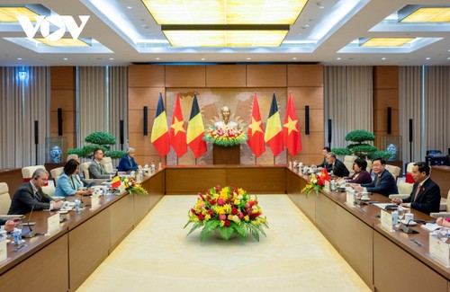 加强越南和比利时议会合作关系 - ảnh 1