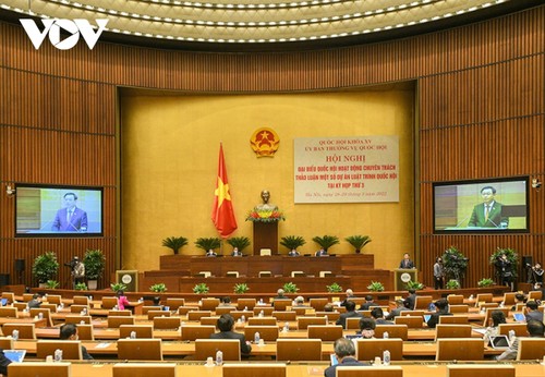 ​  越南国会专职代表会议在河内开幕 - ảnh 1