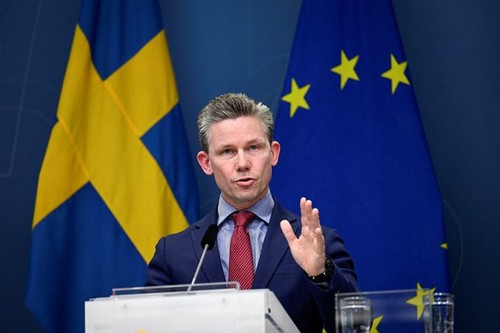 瑞典宣布第14个对乌克兰军事援助计划 - ảnh 1