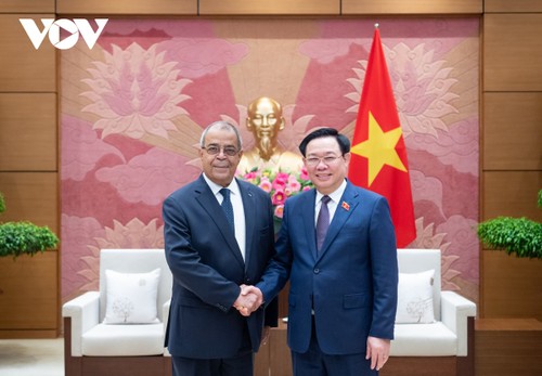 越南国会主席王庭惠会见越南-阿尔及利亚政府联合委员会阿方主席奥恩 - ảnh 1