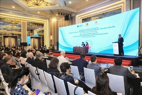 越南-经合组织投资论坛：吸引高质量外资 服务绿色、智慧、可持续增长 - ảnh 2