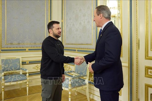英国新任外交大臣访问乌克兰 - ảnh 1