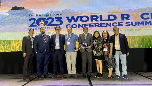 越南ST25香米第二次荣获世界最好大米奖 - ảnh 1