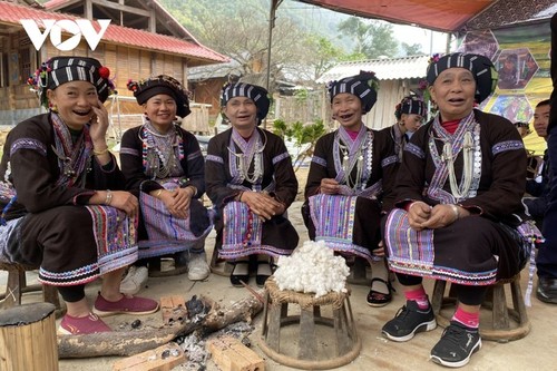 卢族传统手工纺织业之美 - ảnh 3
