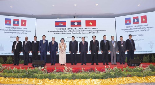 首届越老柬三国国会高层会议开幕 - ảnh 1
