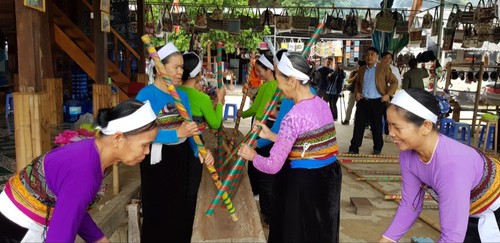 和平省枚州县泰族同胞的传统杵槽舞 - ảnh 2