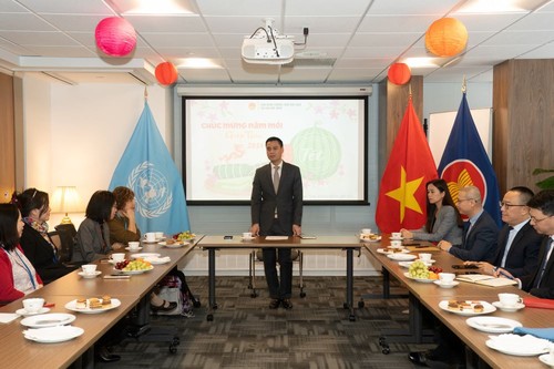 越南常驻联合国代表团会见联合国机构的越南专家 - ảnh 1